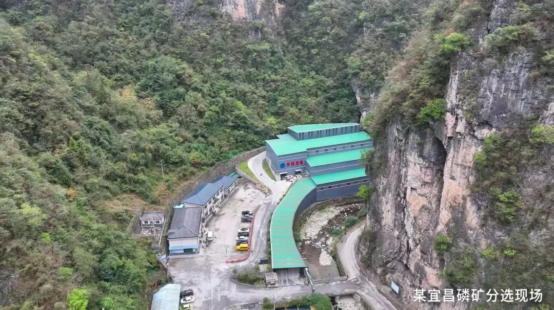 1742882372613079.jpg 1742882372613079.jpg